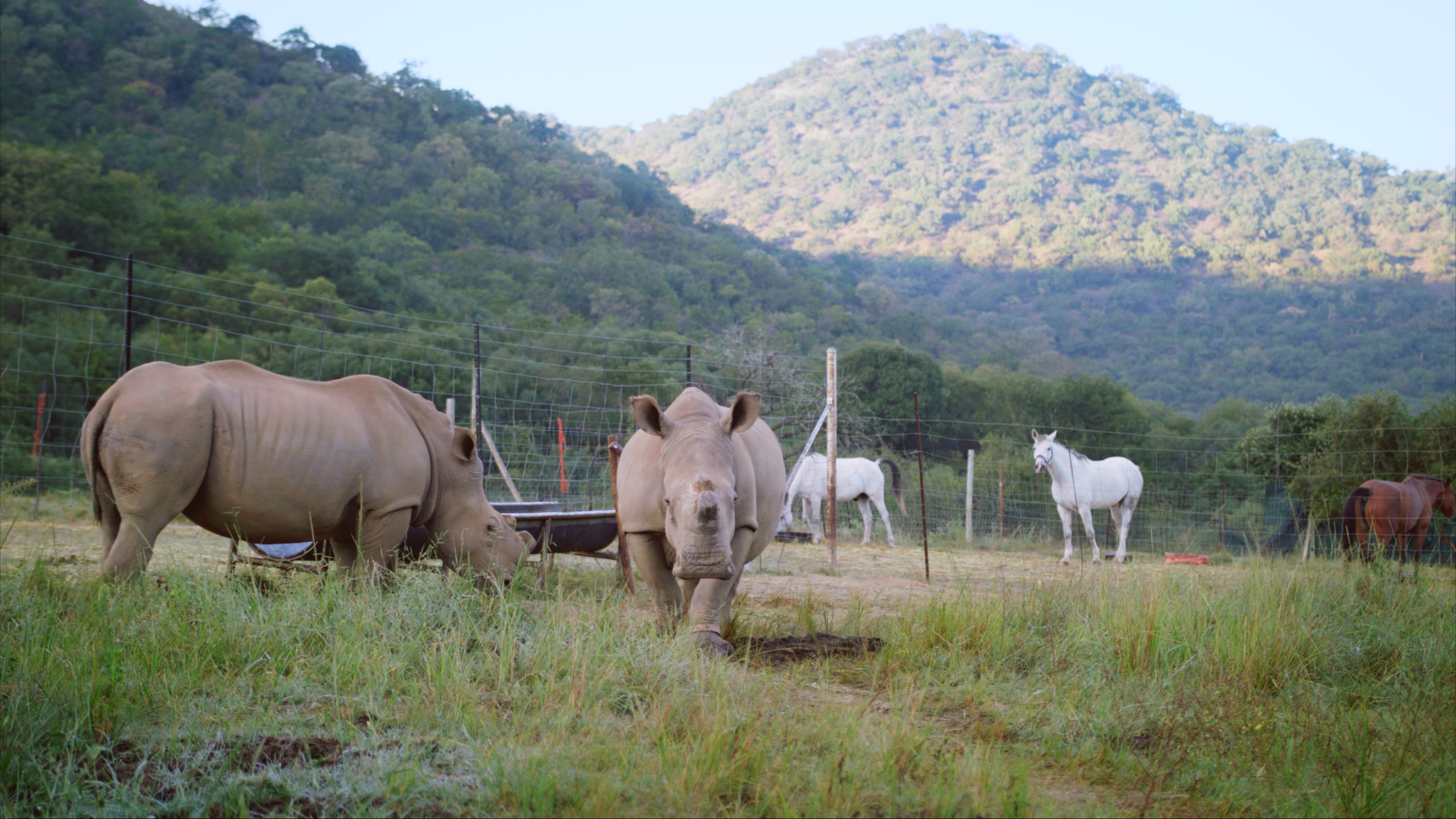 Color Grading Services – Transform Your Video with Professional Color Correction