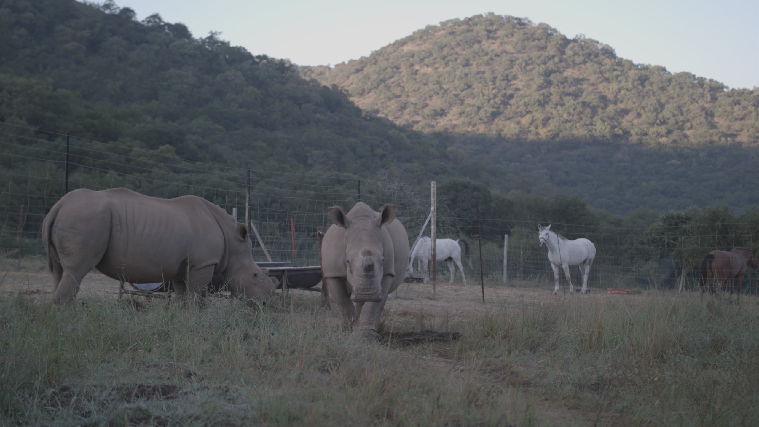 Color Grading Services – Transform Your Video with Professional Color Correction